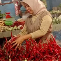 Harga Bahan Pangan di Pelalawan Tetap Stabil Pasca Lebaran, Tak Ada Lonjakan