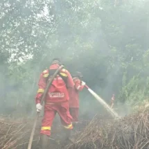 Kebakaran Lahan di Riau Masih Berlangsung, Pemadaman Terus Digencarkan