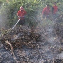 Termasuk Riau, BMKG Catat 161 Titik Panas di Sumatra