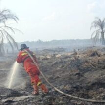 Riau Terdeteksi 28 Hotspot, Bengkalis Terbanyak