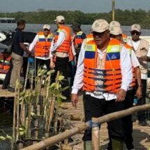 Peringatan Hari Mangrove Sedunia, Pemerintah dan APHI Dorong Pengelolaan Berkelanjutan