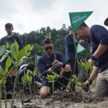Mangrove Jadi Senjata Hadapi Abrasi, Telkomsel Libatkan Warga Pesisir Selatan