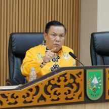 Pemprov Riau Percepat Pemulihan Tesso Nilo, Ratusan Ribu Hektare Hutan Berhasil Diamankan