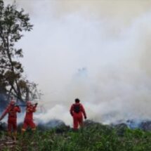 Karhutla di Riau Berangsur Terkendali, Satgas Tetap Waspadai Bara di Lahan Gambut